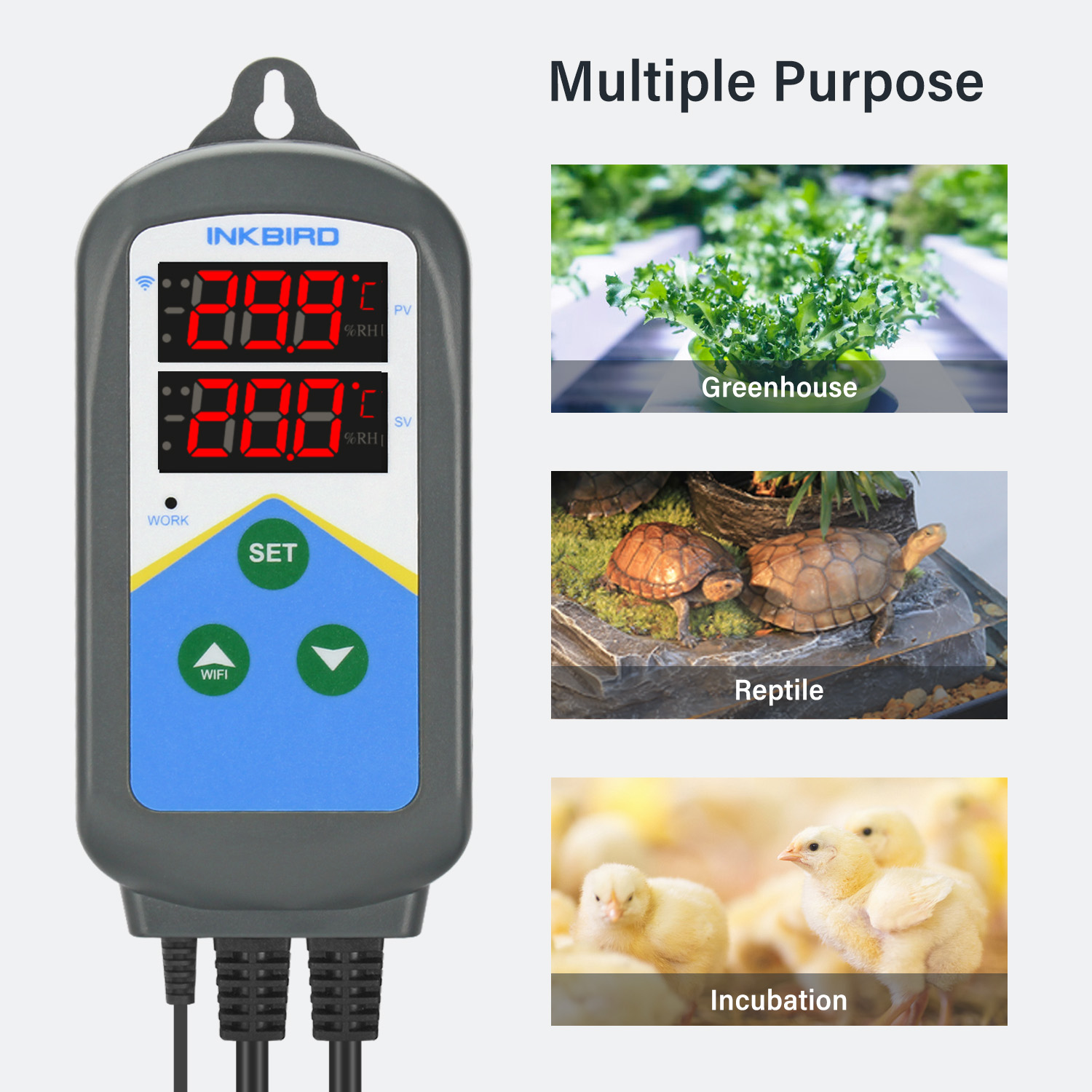 INKBIRD WIFI Temperaturregler  – Wifi Thermostat Bewertung und Preis
