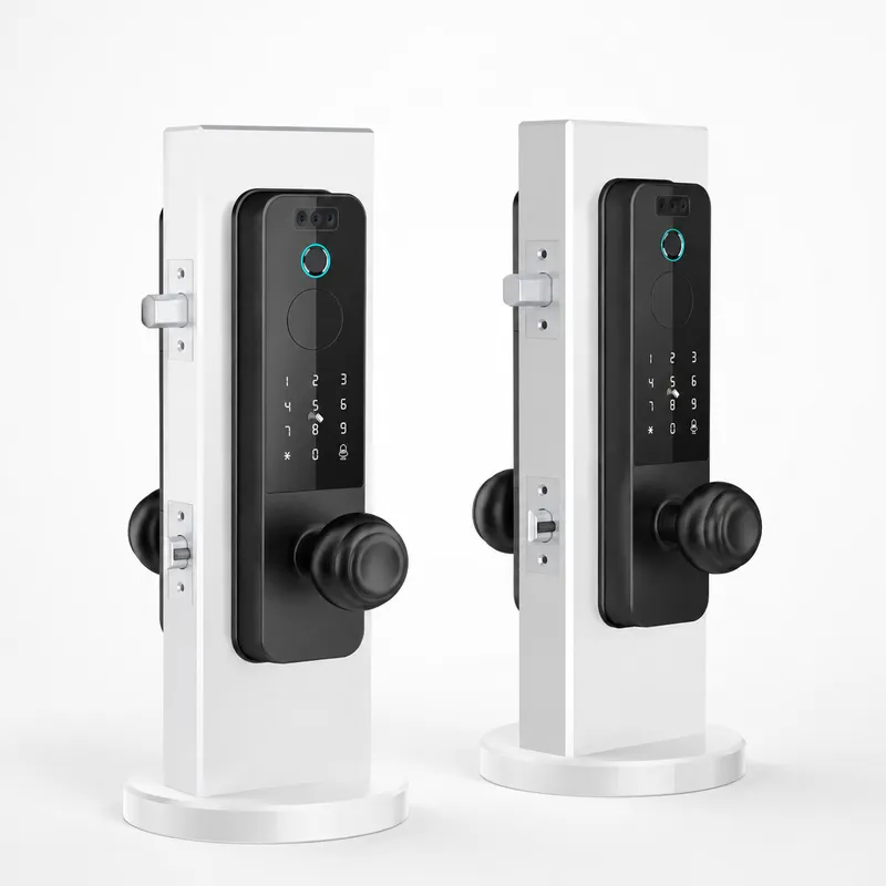 Grenzüberschreitendes Holztürs – Smart Door Lock Wifi Bewertung und Preis