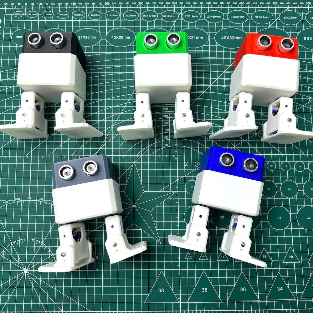 3D-gedrucktes zweibeiniges Lau – Stem Robotics Kit Bewertung und Preis